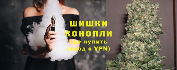 гидра Зеленодольск