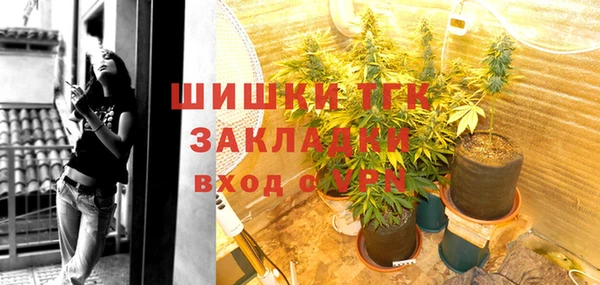 дживик Зеленокумск